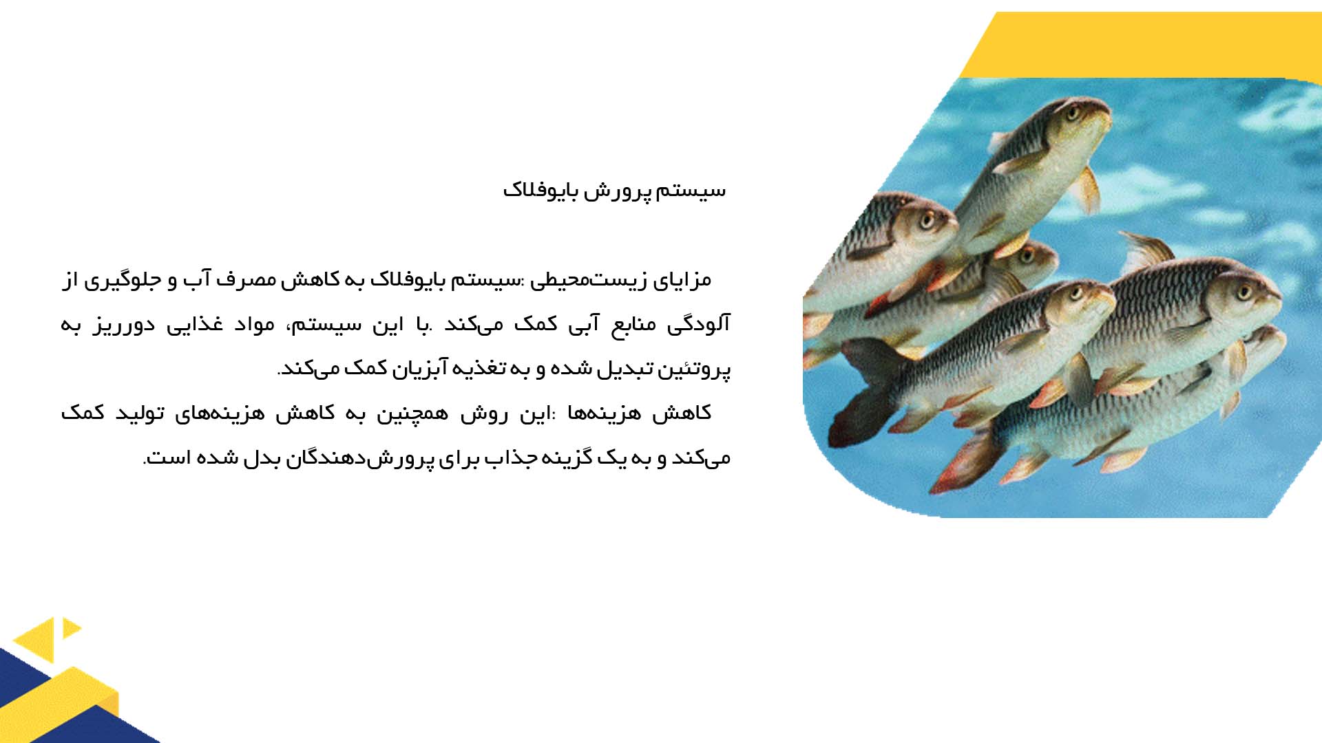 پاورپوینت در مورد نوآوری‌ها و تکنیک‌های مدرن در پرورش آبزیان